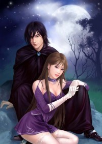 倾世暖婚：首席亿万追妻